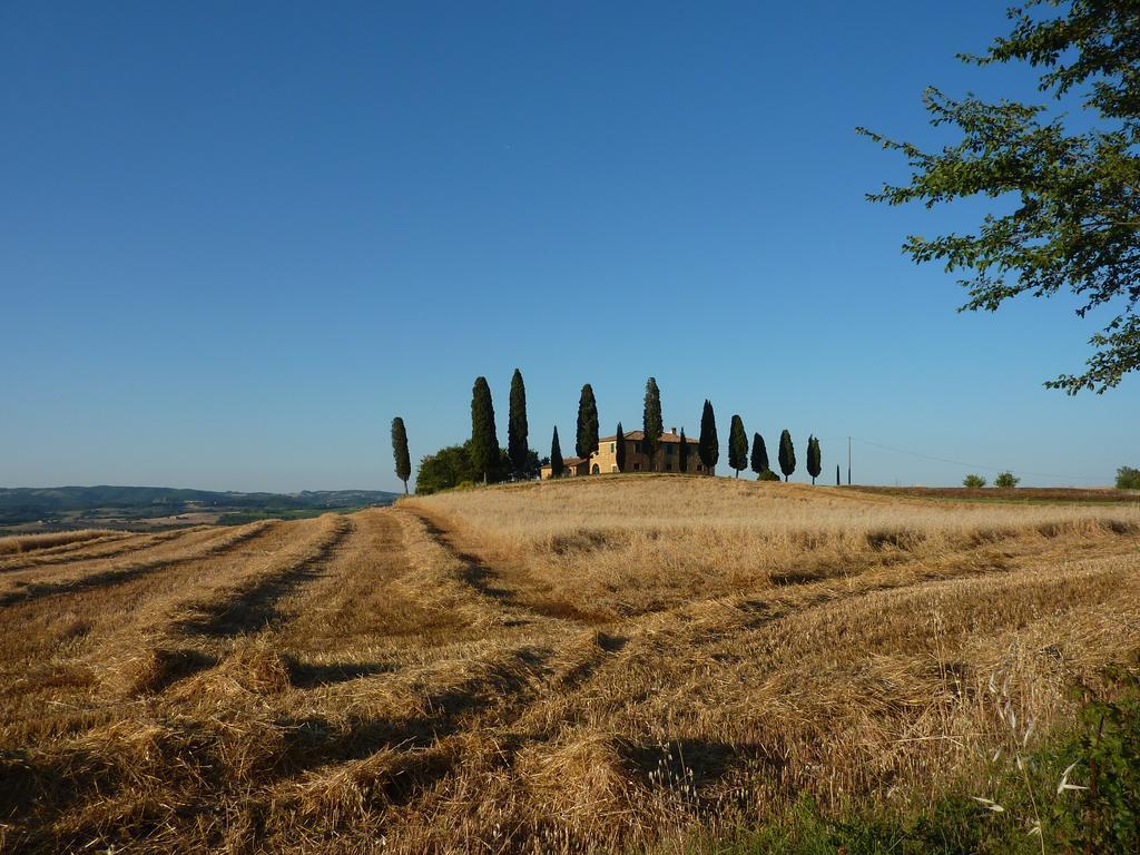 Camere Andrei Pienza Exterior foto
