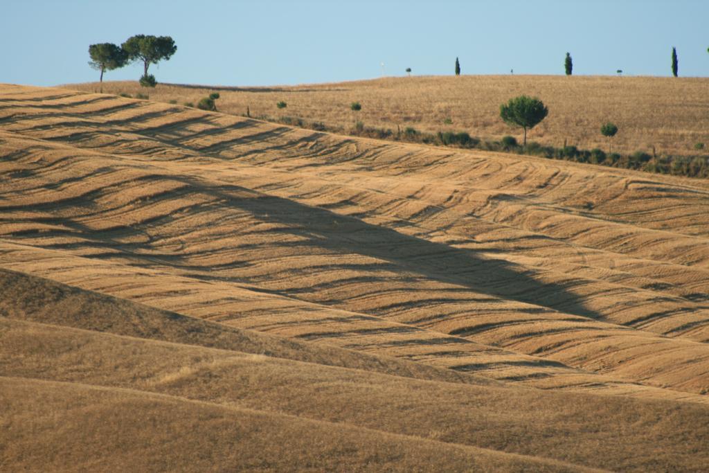 Camere Andrei Pienza Exterior foto